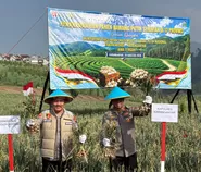 Tawangmangu Jadi Andalan Bawang Putih Jateng, Panen 1,25 Ton Dukung Ketahanan Pangan Nasional