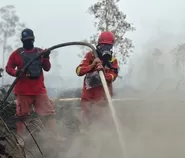 Mengapa Karhutla Sulit Padam? Pakar Ungkap Peran Cuaca, Manusia, dan Gambut
