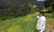 Sumber Banjir Bandang Batang Aia Muaro Pisang Agam Terungkap, Ancaman Masih Mengintai