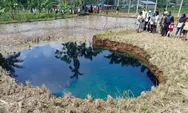 Sinkhole di Sawah Limapuluh Kota Masih Aktif, BPBD Batasi Akses Warga