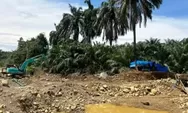 Penertiban Tambang Ilegal di Pasaman Barat, 21 Pelaku Diamankan