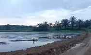 Sungai Batang Piruko Menghitam, DPRD Dharmasraya Siapkan Sanksi hingga Pencabutan Izin PT DL