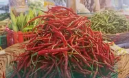 Harga Cabai Rawit dan Cabai Merah Naik, Kemendagri Terjunkan 5 Tim ke Daerah