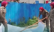 Penertiban Baliho di Padang Panjang, Ini Imbauan Penting untuk Pemilik Reklame