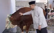 Sapi Kurban Presiden untuk Padang Panjang Diserahkan di Masjid Muhammad Noer