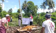 670 Kantong Daging Kurban Disalurkan ke Warga Mentawai, Toleransi Antarumat Beragama Jadi Sorotan