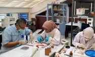 Peneliti Unand Temukan Potensi Herbal Lokal untuk Komplikasi Diabetes dan Hipertensi