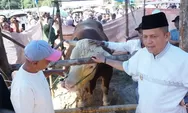 Cerita Sapi Kurban Prabowo di Payakumbuh: Berbobot 1,2 Ton dan Hasil Inseminasi Buatan