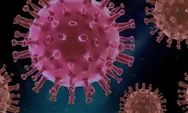 Tak Selalu Jadi Musuh, Mycovirus Buka Paradigma Baru tentang Virus