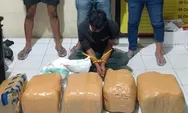 Mobil Terlibat Kecelakaan di Solok, Bagasi Terbongkar Berisi 25 Kilogram Ganja