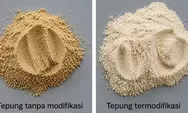 Mojaf, Inovasi Tepung Bengkuang dari Unand yang Berpotensi Bantu Pengidap Diabetes
