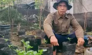 Kisah Jurnalis Sumbar Menyemai Ketahanan Pangan, Sulap Pekarangan Rumah Jadi Kebun Cabai Produktif