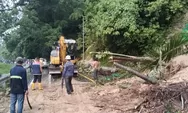 Longsor Tutup Jalur Lembah Anai, Akses Padang–Bukittinggi Lumpuh Total