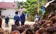 Dukung Kesejahteraan Petani Sawit, Bupati Dharmasraya Diganjar SIEXPO Award 2026