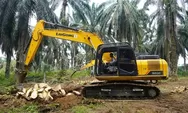 Peremajaan Sawit Rakyat di Dharmasraya Masuk Tahap Tumbang Chipping, Ini Harapan Petani