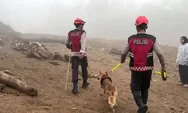2 Anjing K9 Dikerahkan Cari Korban Hilang Galodo Solok