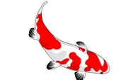 Deretan Ikan Hias Merah Putih, Cocok Dikoleksi Bulan Agustus