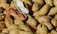 Makan Kacang Bisa Menimbulkan Jerawat, Mitos atau Fakta?