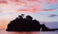 Wajib Dikunjungi! Purple Island Menjadi Objek Wisata Di Korea Selatan yang Sedang Diminati Wisatawan