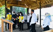 Tinjau Mangrove Conservation Forest di Bali, Presiden Jokowi: Bentuk Komitmen Indonesia dalam Perubahan Iklim