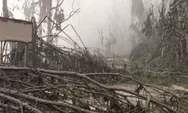UPDATE Erupsi Gunung Semeru, Merenggut 15 Korban Jiwa  