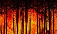 Saksi dan Tersangka Kasus Kebakaran Hutan Gunung Bromo Minta Maaf kepada Masyarakat Tengger