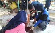 Tujuh Hewan Kurban di Kendal Mengandung Cacing Hati, Ini Imbauan DPP Kendal