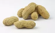 5 Manfaat Kacang Tanah untuk Kesehatan Tubuh