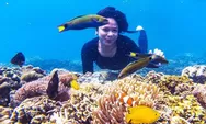 Wisata Gili Ketapang Probolinggo, Tempat Snorkling Terbaik di Jawa Timur: Lengkap dengan Rute Lokasi