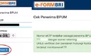 CEK Penerima BPUM 2022 di eform.bri.co.id, Dapatkan Rp600 ribu dari BLT UMKM yang Siap Cair Akhir Agustus?