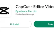 Download Video CapCut Tanpa Watermark Terbaru 2022