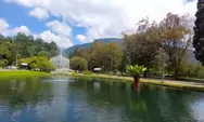 Kebun Raya Cibodas Cianjur, Tempat Wisata Cocok untuk Healing Bersama Keluarga!