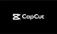 Penjelasan Lengkap, Download Video CapCut dengan Kualitas HD Tanpa Tanda Air dengan Savefrom.net