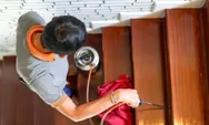 7 Cara Efektif Mengusir Rayap dari Furniture Kayu di Rumah, Pasti Ampuh Hama Minta Ampun