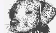 Abdil Barr: Berbuat Baik Pada Anjing Bernilai Pahala