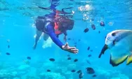 3 Destinasi Wisata Terpopuler yang Punya Top Spot Diving dan Snorkeling  di Berau, Kalimantan Timur