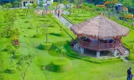 Viral! 'Taman Jeruk Surabaya', Hidden Gem Baru yang Hits dan Viral di Surabaya