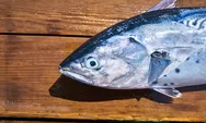  3 Aneka Resep Masak Olahan Ikan Enak dan Bergizi, Nomor Tiga Pedes Gila