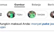 Monyet Pake Jas Hujan Gambar Presiden Jokowi Muncul di Google, Kini Viral Sosmed