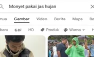 Monyet Pakai Jas Hujan Muncul Foto Presiden Jokowi di Google, Apa Hukuman Menghina Presiden?