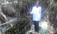 KISAH Sururi, Petani Mangrove di Mangkang Semarang, Puluhan Tahun Perangi Abrasi Pesisir Utara Jawa