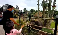 Bernuansa Ala Jerman! Berikut Harga Tiket Hingga Wahana di Destinasi Wisata Lembang Park and Zoo