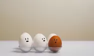 Awas Bahaya! Ibu Hamil Dilarang Konsumsi Telur Setengah Matang