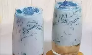 Cara Membuat Es Susu Jelly Untuk Jualan yang Nikmat, Insyaallah Laris Manis