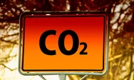 Emisi CO2 Adalah Apa? Penjelasan Arti Tanggal 28 Januari 2023, Hari Pengurangan Emisi CO2 Internasional