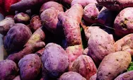 5 manfaat mengonsumsi ubi ungu untuk kesehatan tubuh anda, yuk simak!