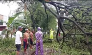 Hujan Deras Disertai Angin Tumbangkan Pohon dan Menimpa Rumah serta Menutup Jalur Kereta Api di Slawi