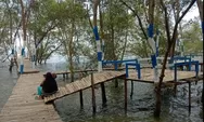Objek Wisata Desa Wisata Mangrove Tanjung Rejo, Deli Serdang, Ini Dia yang Masih Dibutuhkan agar Berkembang
