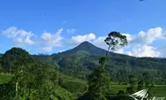  2 Rekomendasi Objek Wisata Agro di Kabupaten Batang, Jawa Tengah, Nomor 2 Lengkap dengan Kolam Renang