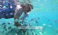 Pulau Lengkuas di Belitung, Pesona Keindahan Bawah Laut yang Memukau, Cocok Buat Lokasi Snorkeling